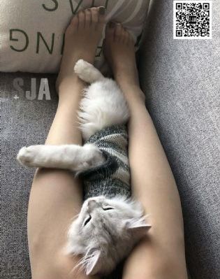 军人妓女院bd高清片_在线观看免费版