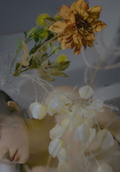 樱花广告弹窗免费看_4K视频大全